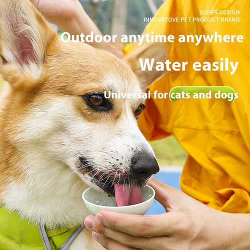 Pawlyn Foldable Travel Water Cup